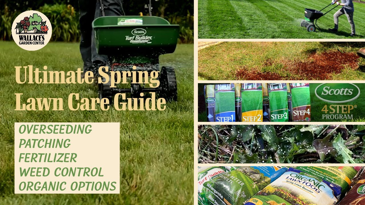 Spring Lawn Care Guide: Expert Tips from Wallace's Garden Center in Bettendorf, Iowa!