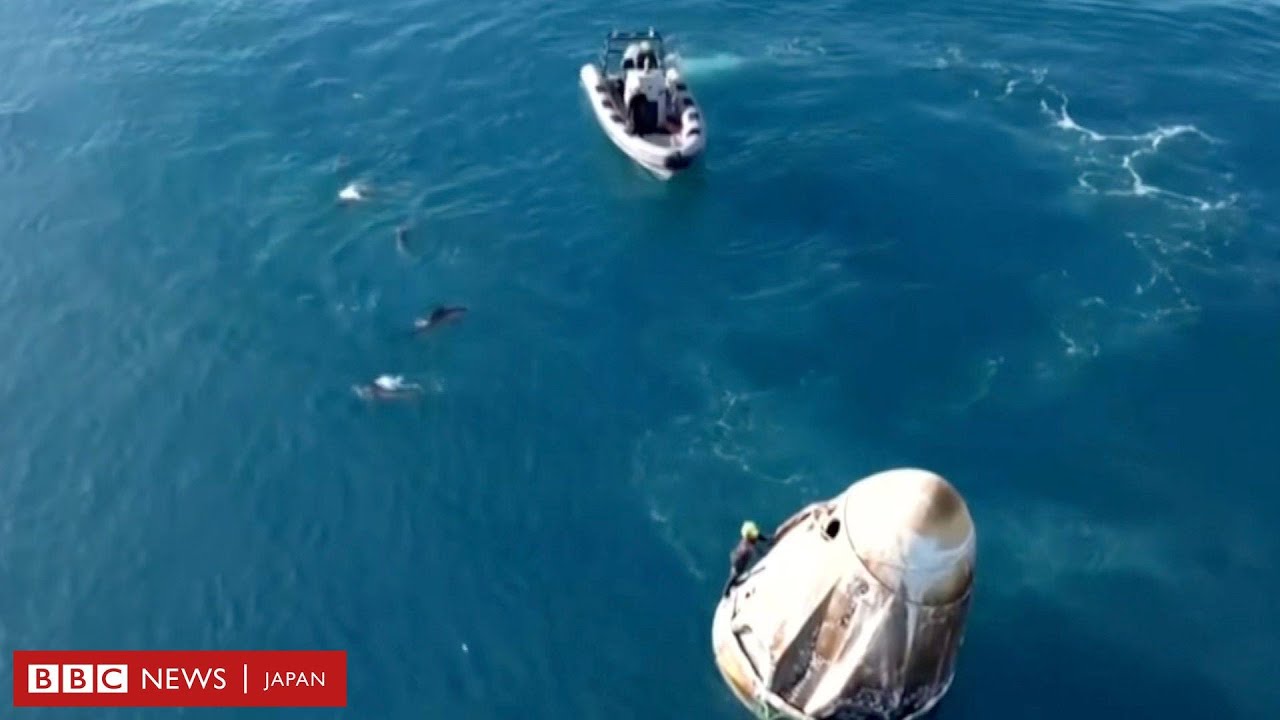 イルカが帰還を歓迎？ 着水した宇宙船に群がる 米フロリダ州沖 - YouTube