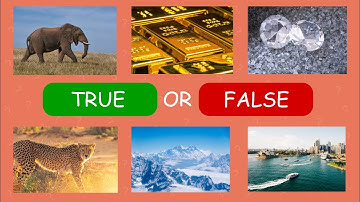 True OR False General Quiz | 30 Questions #10 | Trivia Quiz