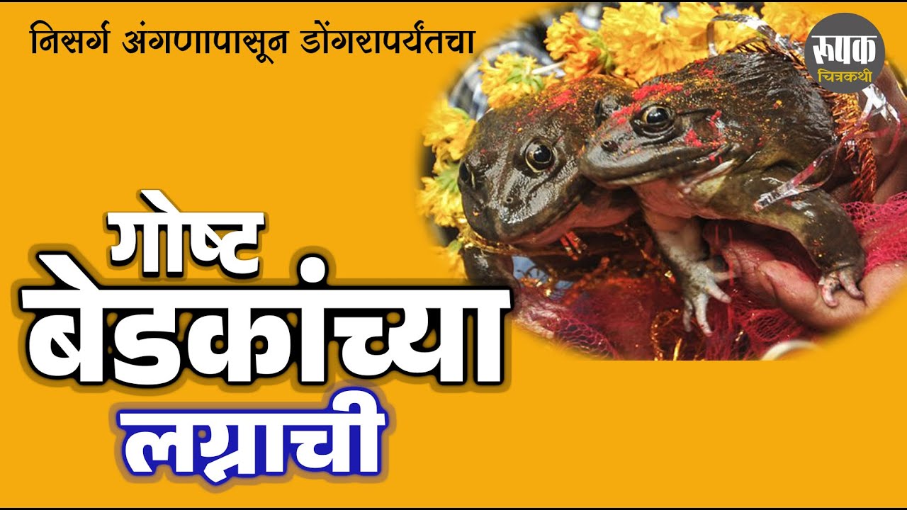 उपयुक्त बेडूक |  पाण्यात आणि जमिनीवर निसर्गाचे संतुलन राखणारा अद्भुत प्राणी” Useful frog