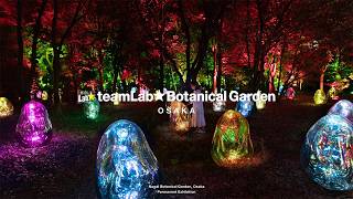 teamLab Botanical Garden Osaka (Feb-Apr) Highlight Video