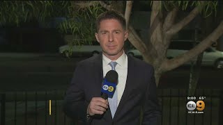 Effort To House Venice Homeless To Start Monday Despite Delayed Funding Vote