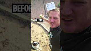 Faster Than A Snail mindgames dog mindgames