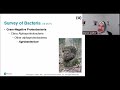 Chapter 11 [Part 3/3] - Characterizing and Classifying Prokaryotes
