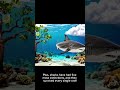 SHARKS ARE OLDER THAN TREES?! 🦈😱#facts #OceanFacts#AmazingFacts #ScienceForKids #SharkWeek #Shorts