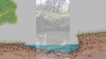 Rosgen Channel Type B3