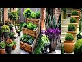 How to Create a Beautiful Garden Outside Your Home flower 🏡🪴2025