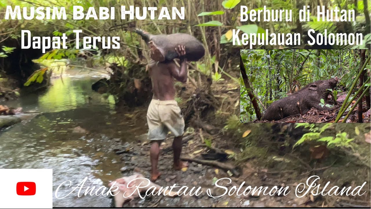 Bantu Konie Ambil Babi Hutan di Sungai//Wife Dari Kepulauan Solomon Nyanyi Lagu Iban//