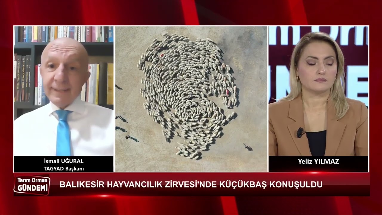 Tanıtım videosu