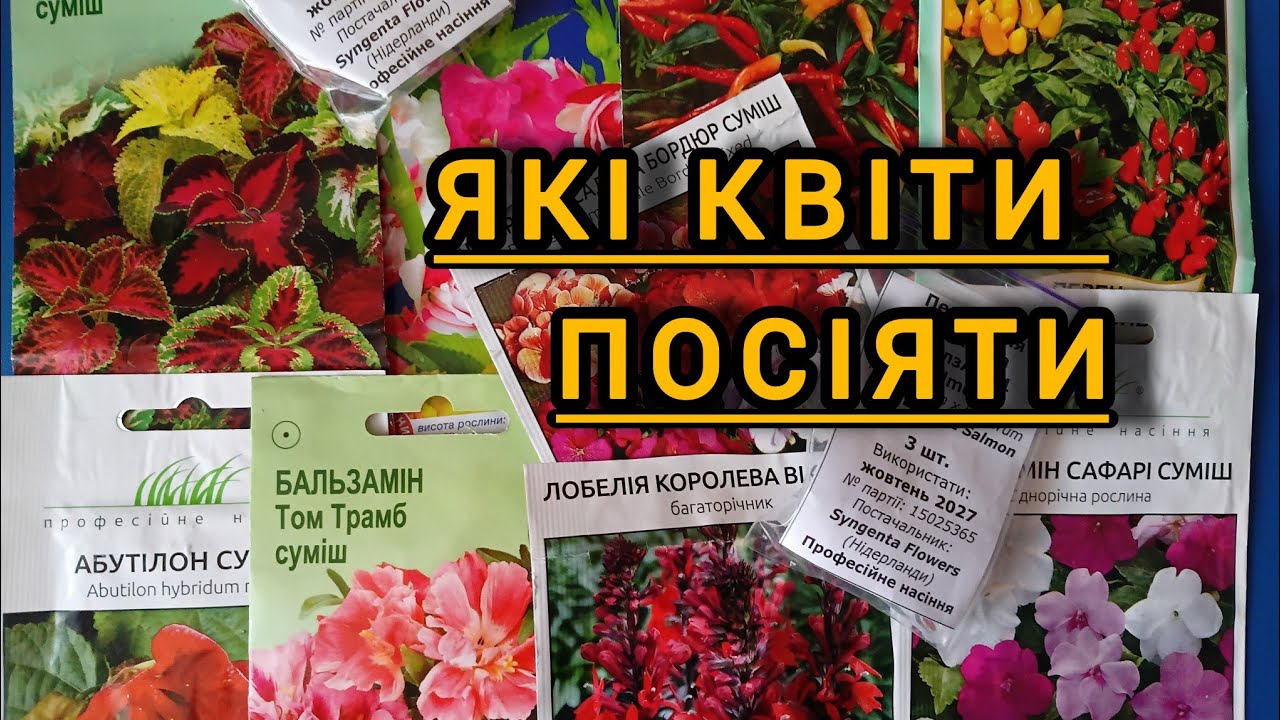 Насіння  квітів на новий сезон 🥰2026.Частина2 #flowers #квіти #насіння #насінняукраїни 