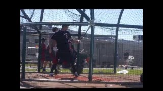 Minnesota Twins' Byung Ho Park taking BP 2/12/16