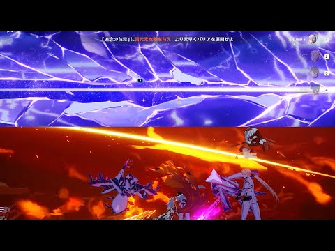 【原神&崩壊】キアナと雷電将軍 Kiana HoF and Raiden Shogun Weekly Boss