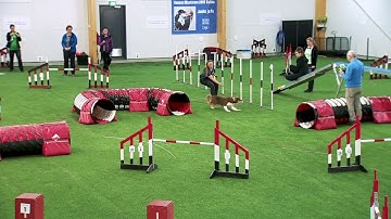 International Agility Training Week - CCC between obstacles - preview