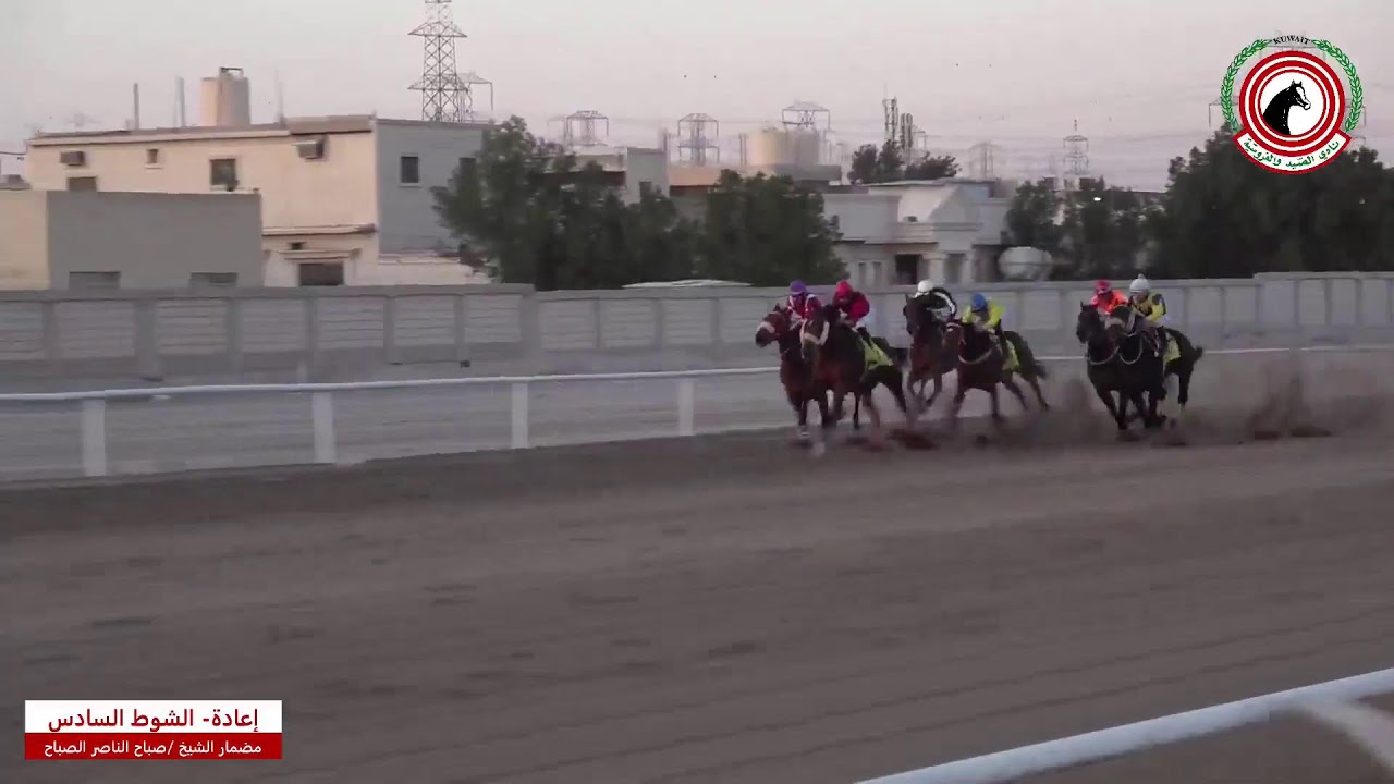 بث مباشر - مضمار الشيخ صباح الناصر الصباح - الأجتماع السابع -  لموسم 2024-2025