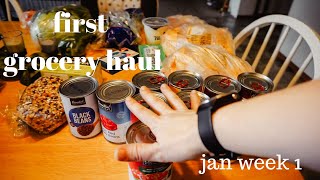 January Grocery Haul