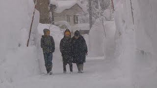 日本海側で大雪 続く強い冬型、山形でも雪の壁