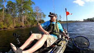 "Epic Fishing adventure: Discover the hidden gem of Eastern North Carolina's Remote Creeks"