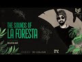 THE SOUNDS OF LA FORESTA EP42 - BAHAMI