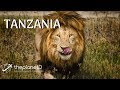 The Best Things to do in Tanzania  | The Planet D