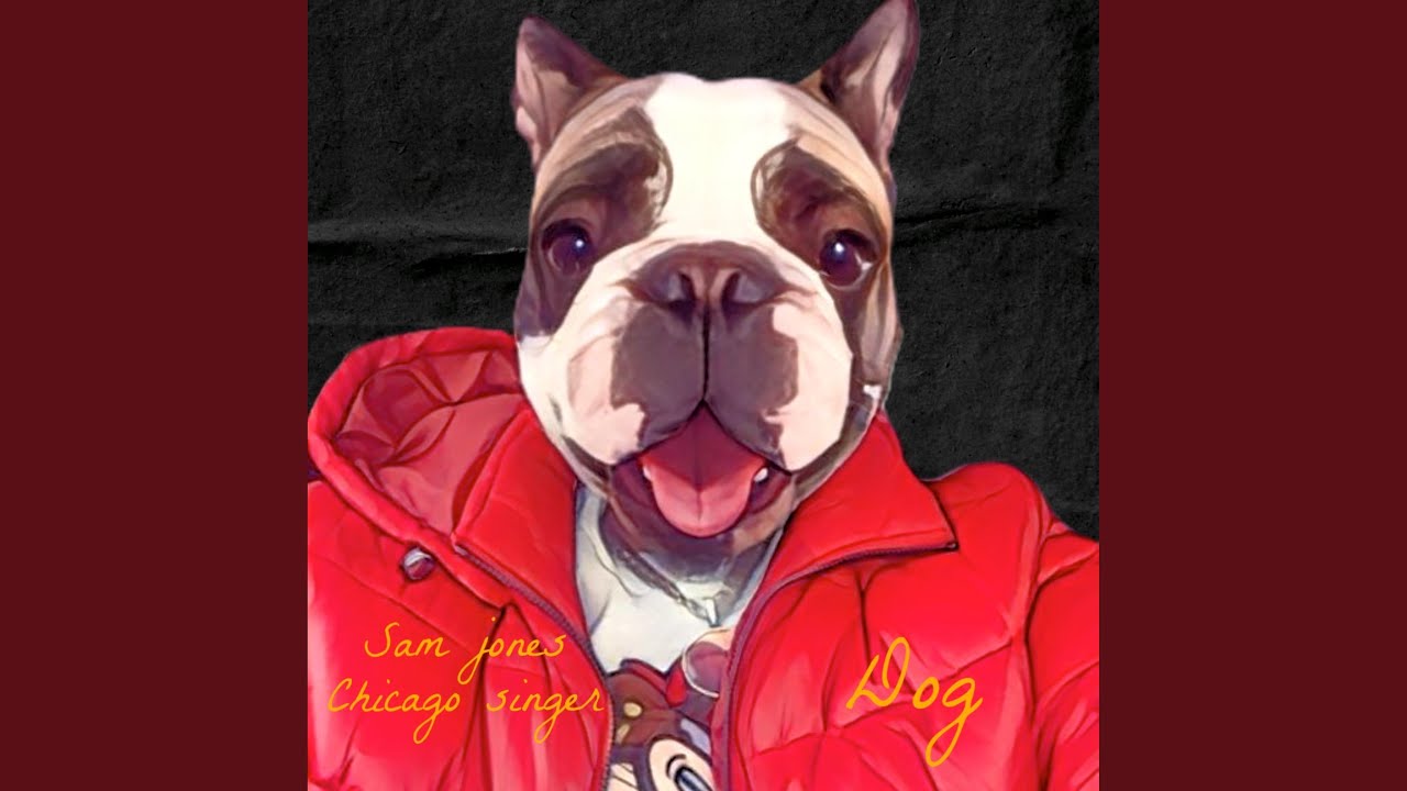 Guarda Dog su YouTube Guarda Dog su YouTube