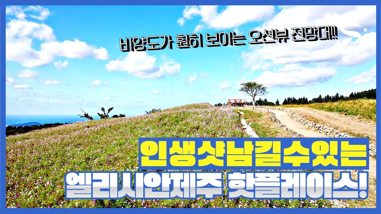 인생샷 남길 수 있는 엘리시안 제주 핫플레이스를 소개합니다!