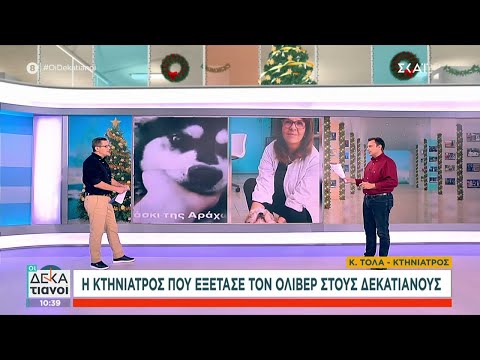 Βασανισμός σκύλου: Η κτηνίατρος απαντά στις φήμες που έχουν αναπτυχθεί – Τι λέει ο δήμαρχος Αράχωβας