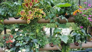 Hydroponics Backyard Fence Garden During Hot Summer Temperatures - Ebb &amp; Flow (Flood &amp; Drain)