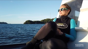 This researcher created an algorithm that removes the water from underwater images