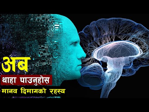 दुनियाँकै शक्तिशाली मेसिन मानव मस्तिष्क ||The human brain, a super-powerful machine ||Bishwo Ghatana