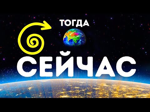 Вопрос: Какое растение называют гигантской сковородкой?