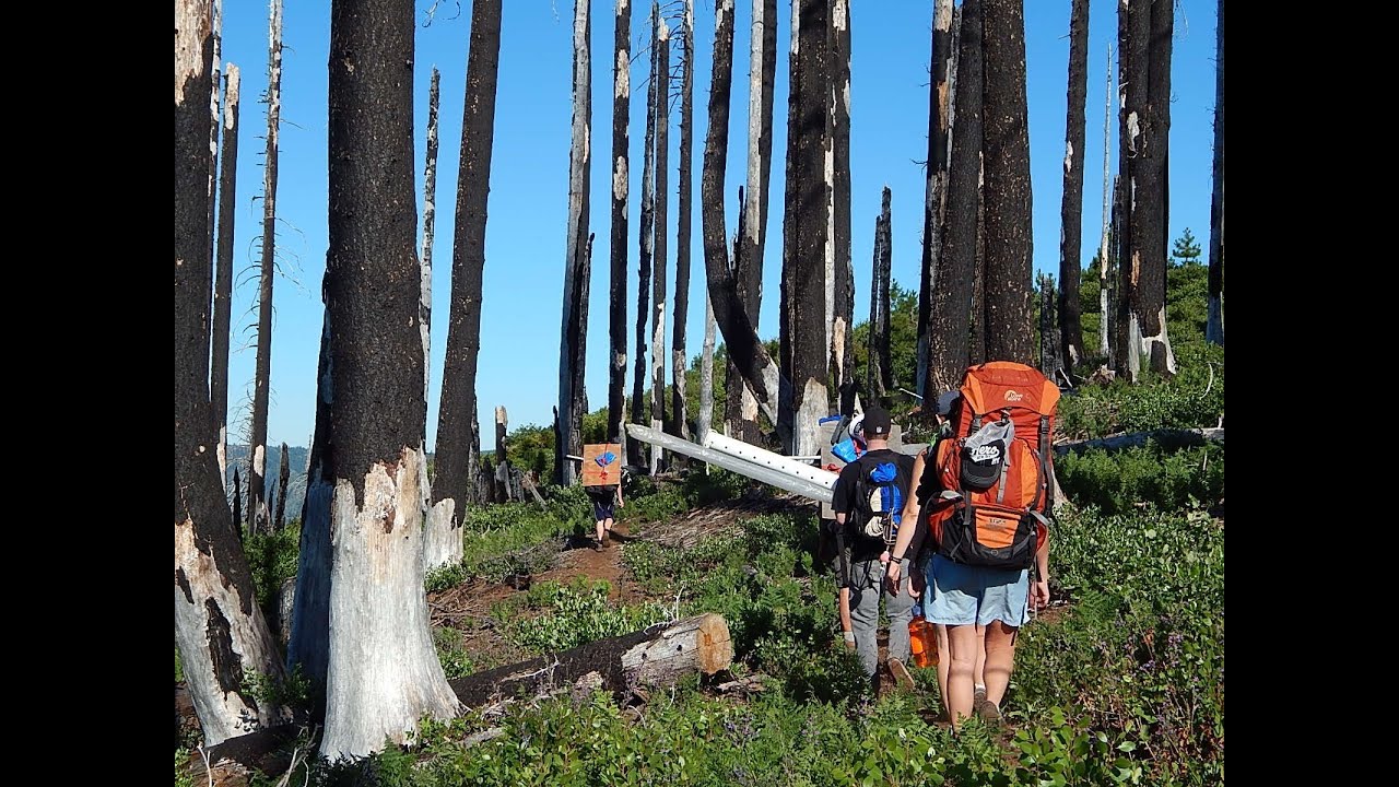 "Forest Migration in a Warming World"