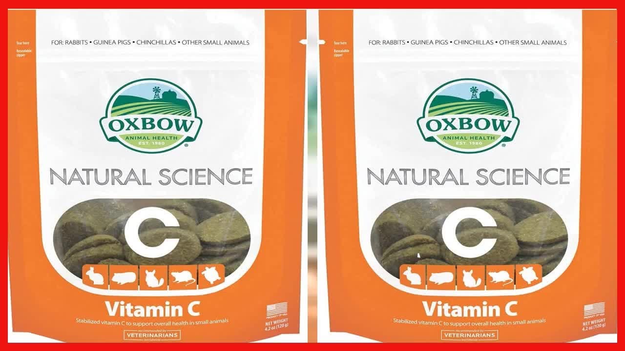 Oxbow Natural Science Vitamin C Supplement Hay Tabs Rabbit Chinchilla Photo Inspiration