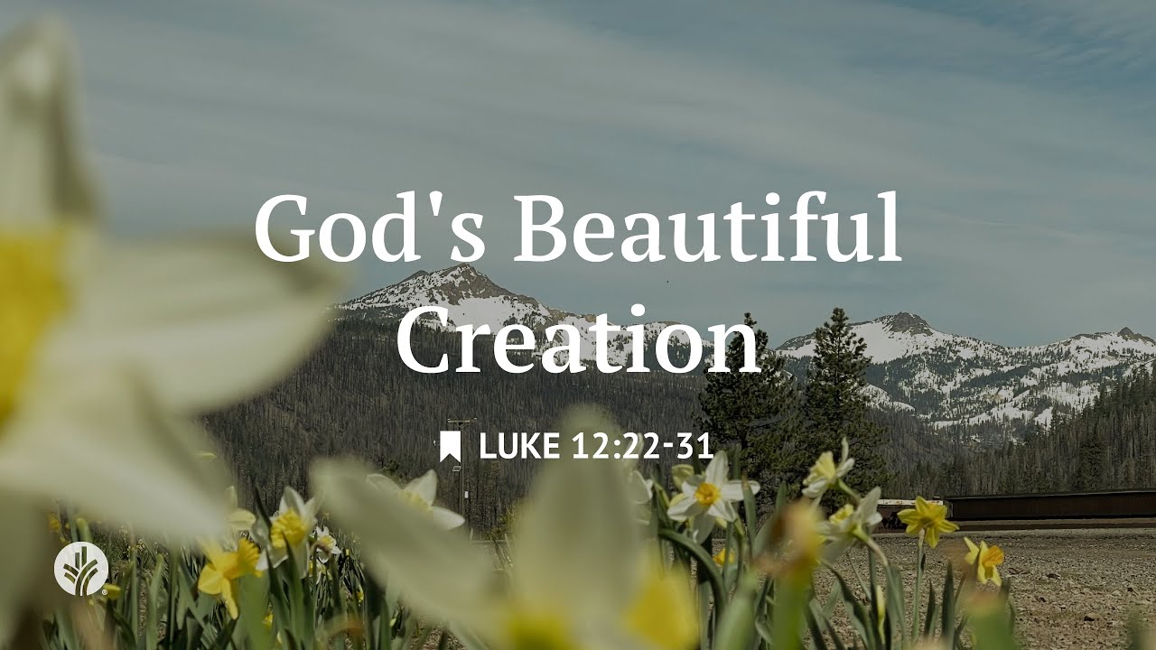 God's Beautiful Creation   January 4, 2026