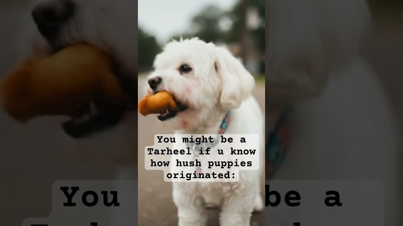 #tarheels