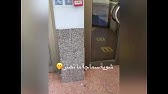 Ø¬Ø§Ù…Ø¹Ø© Ø§Ù… Ø§Ù„Ù‚Ø±Ù‰ Ø·Ø§Ù„Ø¨Ø§Øª Ø§Ù„Ø²Ø§Ù‡Ø± Youtube