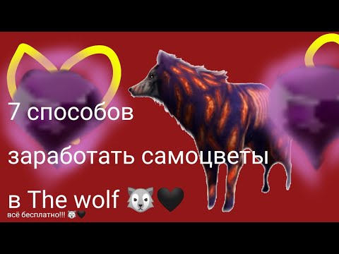 7 Способов как заработать самоцветы в The wolf 🖤🐺