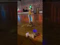 Kasey and the Frenchies Skating🐶🛼 #fyp #dayinmylife #frenchie #rollerskating #alwaysanadventure