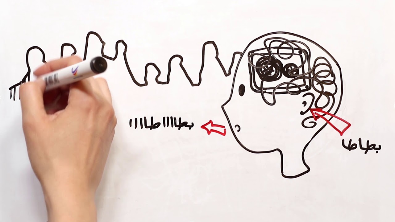 S17 W1 نمو الدماغ في الطفولة المبكرة