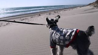 20120212(140338).m2ts