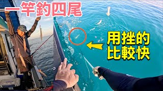 澎湖日光透抽咬瘋啦！一竿四尾！我用搭鉤搓它比較快 #釣魚 #透抽 #射臉