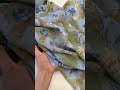 Креш-шифон вискоза 100% в пастельных оттенках Achille Pinto