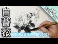 【水墨画】鉤勒法（こうろくほう）で白薔薇を描く/描き方 つらら庵