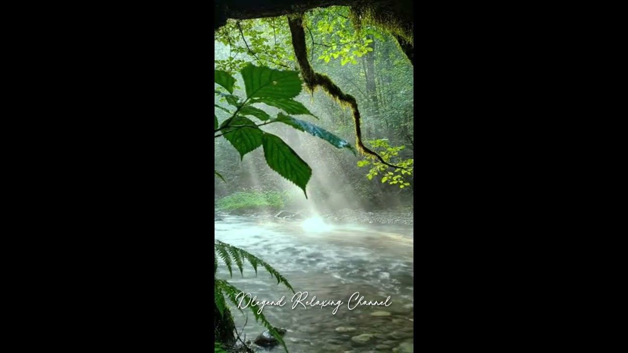 River Sounds Complete Relaxation 