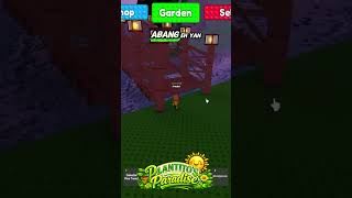 Gigantum Mushroom | Plantito's Paradise