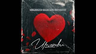 Section Five Maline Aura Mbalenhle M  Ulwembu