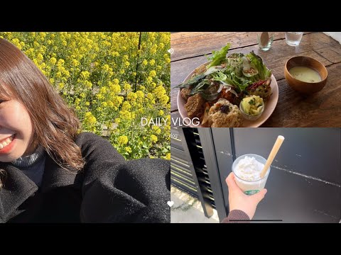 大学卒業間近の日常vlog🌼|家族と過ごす日々|カフェで1人ランチ|スターバックス☕️|春が近づいてきた