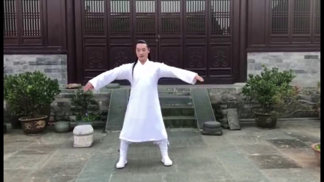 Tutorial: Wudang mian zhang (武当綿掌 - cotton palm)