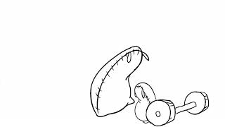 BUGVDG Flour Sack 2D Animation
