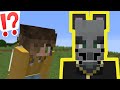 Minecraft but it is CAT PUNS