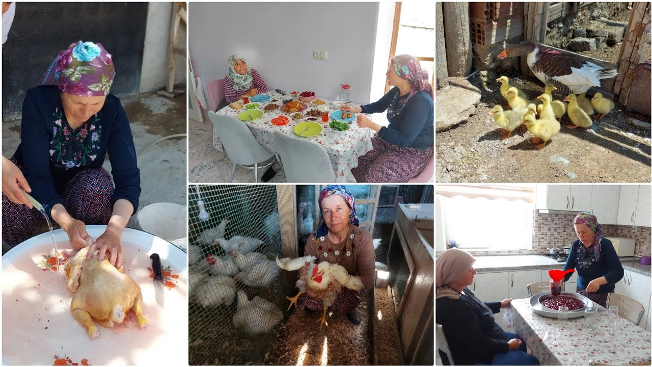 DOĞAL ET TAVUKLARINI TEMİZLEDİK👍HAYVANLARIN SABAH BAKIMI✅ÇİLEK REÇELİ YEMEYE HAZIR💯VLOG